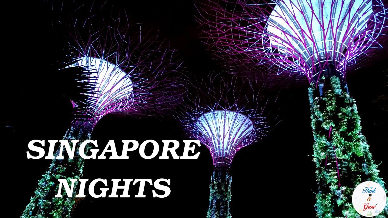 Singapore Nights #followyourdreams 