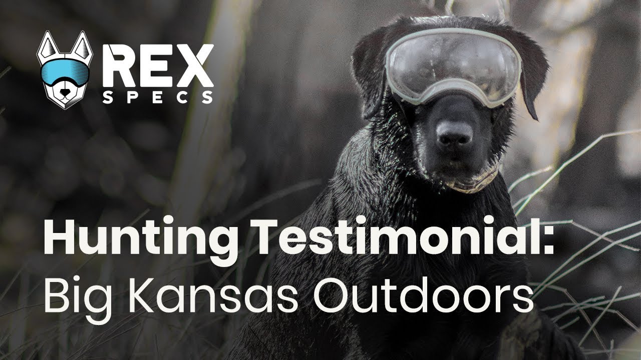 Big Kansas Outdoors - Rex Specs Dog Goggles Review