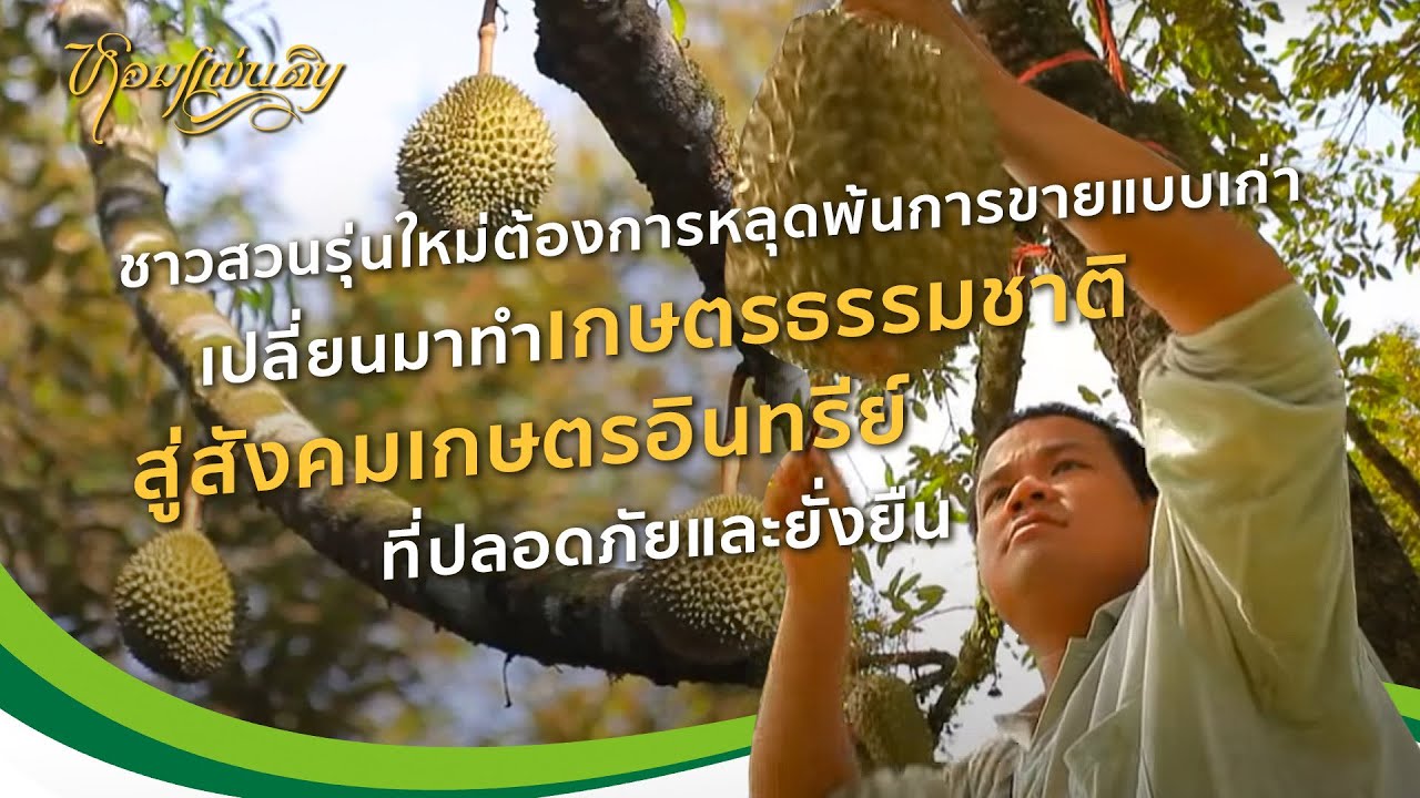 หอมแผ่นดิน ตอน คำตอบจากแผ่นดิน | ชาวสวนรุ่นใหม่ที่ต้องการหลุดพ้นวังวนการขายแบบเก่า สู่เกษตรอินทรีย์