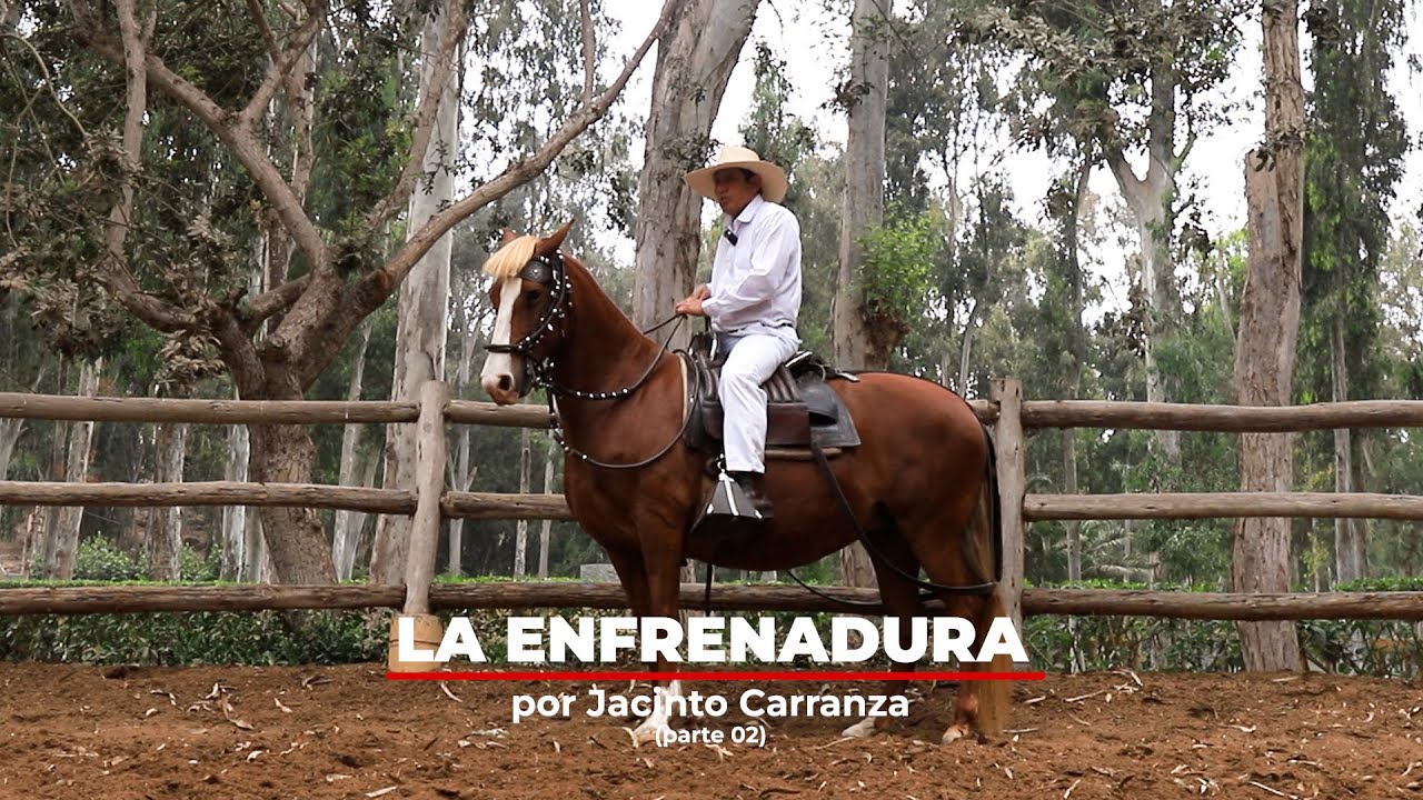 A CUATRO TIEMPOS TV - LA ENFRENADURA II - JACINTO CARRANZA