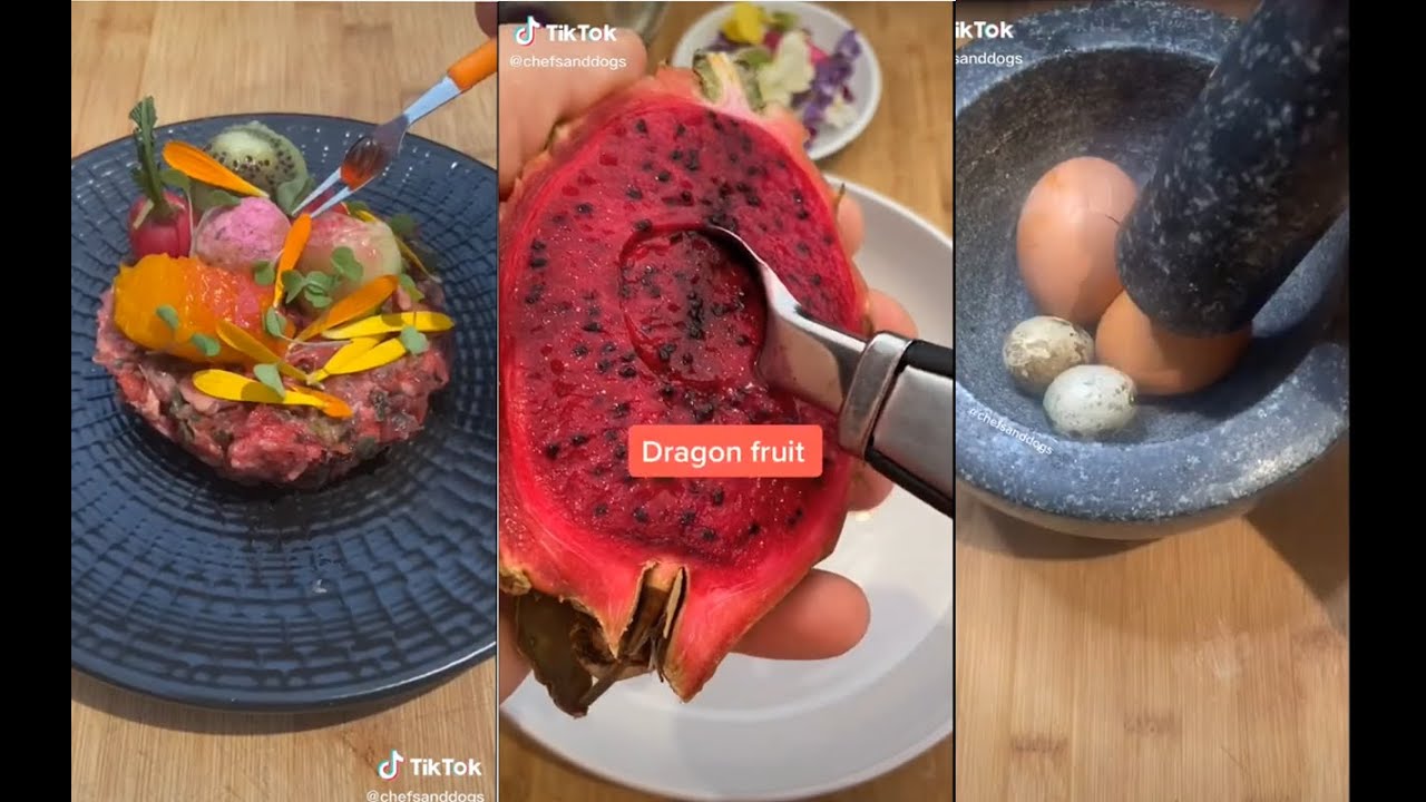 ASMR DIY Pet Food TikTok Compilation PART 2 (Chefs & Dogs) TikTok Museum
