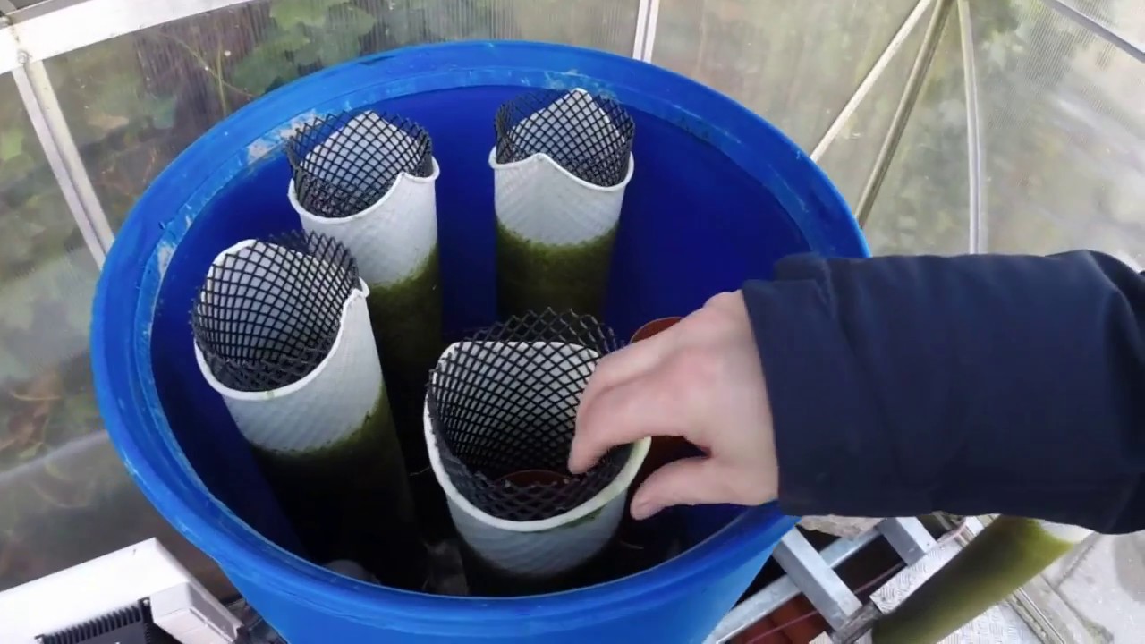 Brilliant DIY Filter - Explained and Cleaned