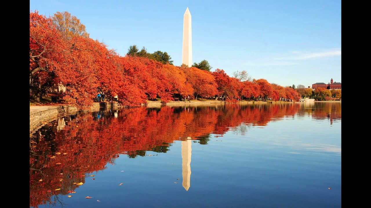 Washington DC - TOEFL Listening