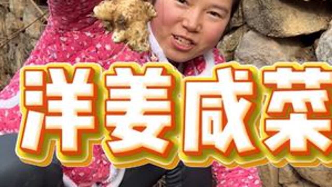 又到了一年一度挖洋姜的季节了，用新鲜的洋姜腌个咸菜。洋姜你们那里都叫什么？#挖洋姜 #记录我的农村生活 #又到了腌咸菜的时候