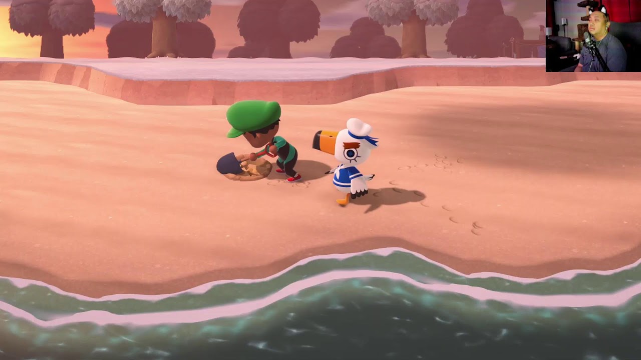meowmurai's Animal Crossing: New Horizons Switch2 P8