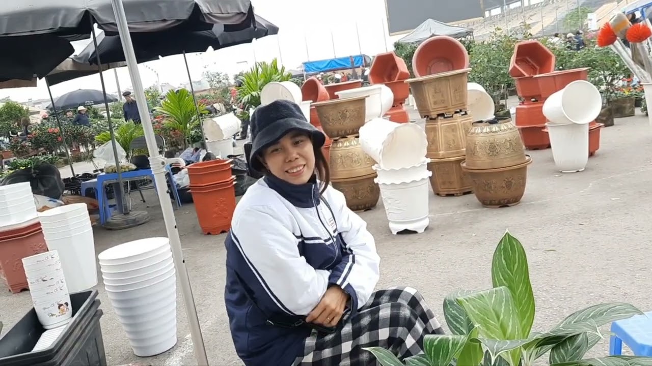 T414 Chợ hoa lan Thành cổ Sơn Tây Hà Nội , phiên chủ nhật 28/12/2025