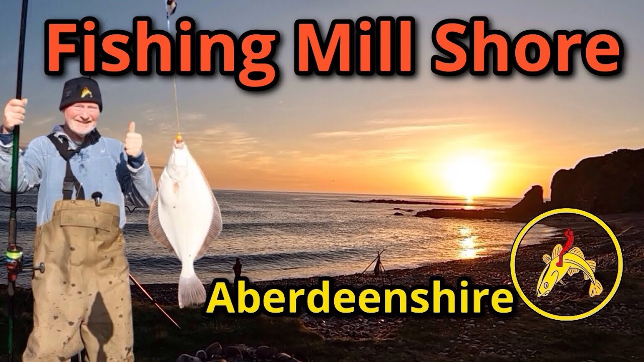 Sea fishing: Mill Shore: Aberdeenshire: FISHnTHINGS: Scotland: 🎣: 🐟