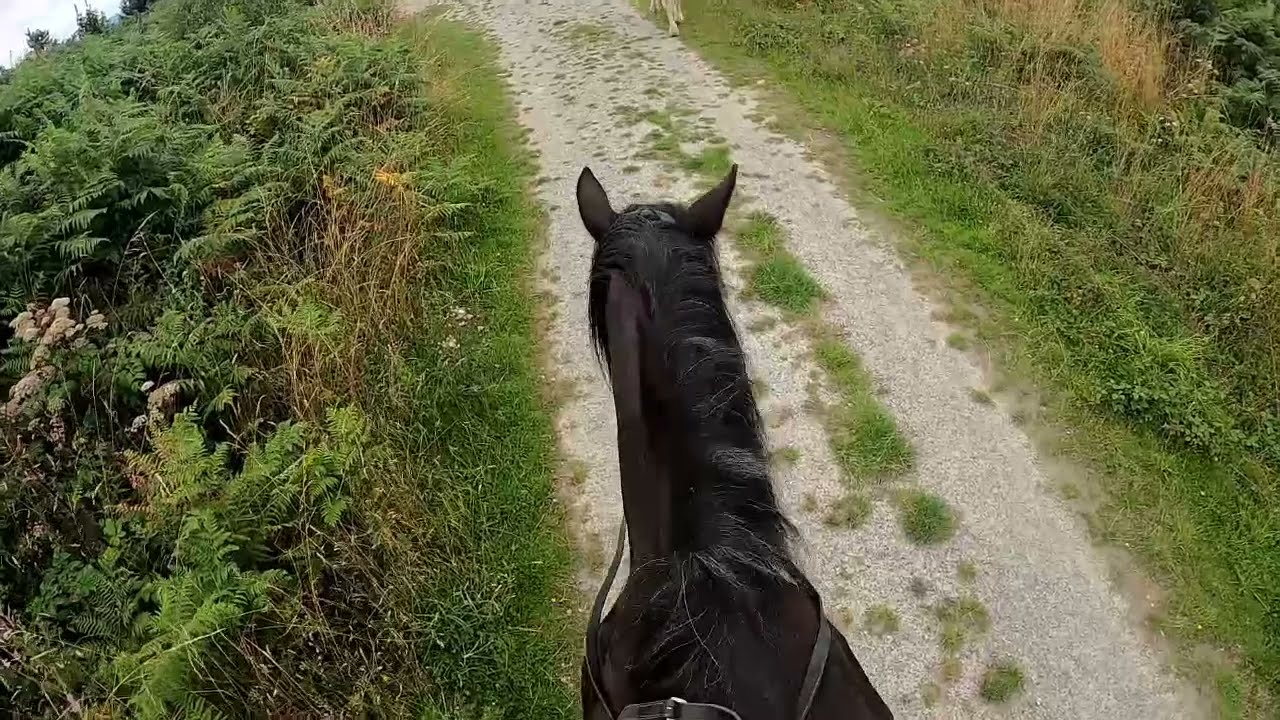 Mortimer Forest Ludlow High Vinnals group ride