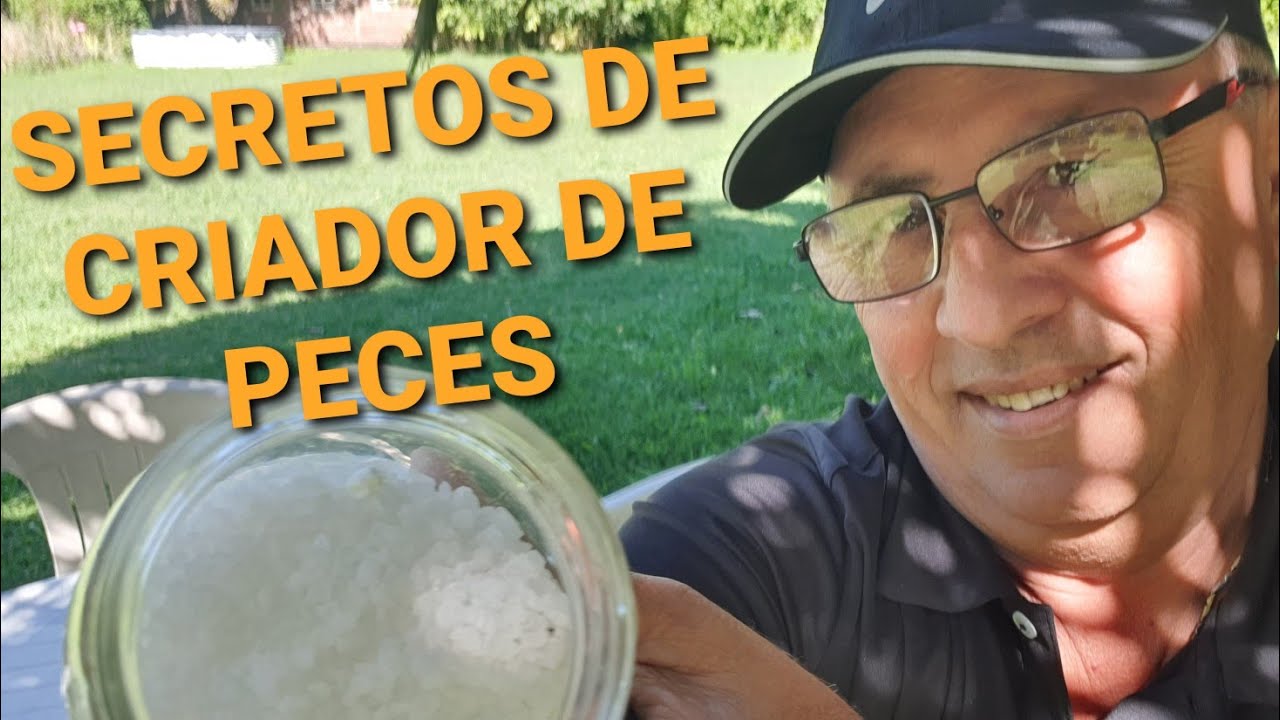 #CRIADERO #PECES CÓMO CURAR 80% DE ENFERMEDADES CON SAL GRUESA