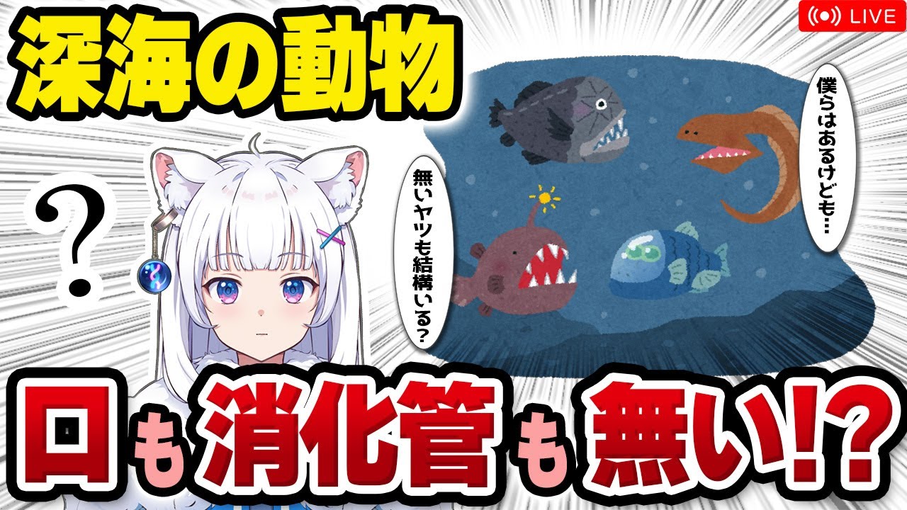 【獣医が解説】深海動物は口も消化管も無い!? / 深海と化学合成の話【北国ここなの動物研究室】