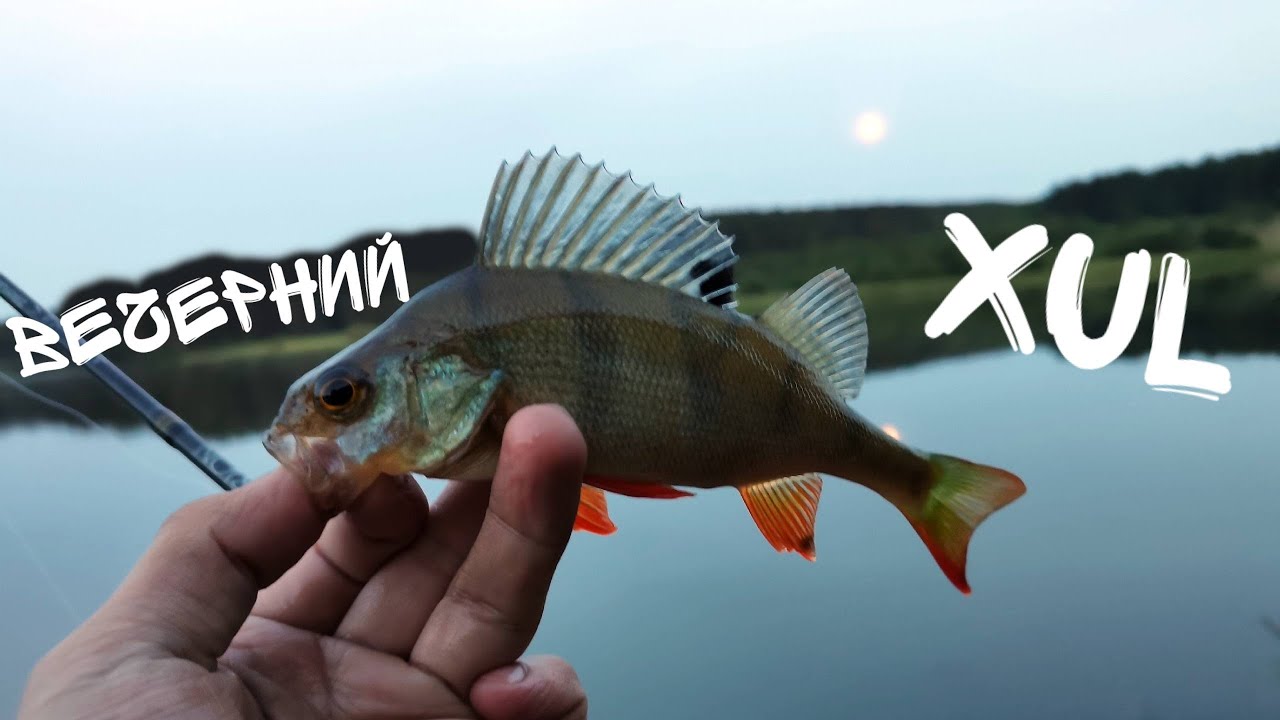 Мормышинг и Нано-джиг в черте города. Рыбалка после работы.