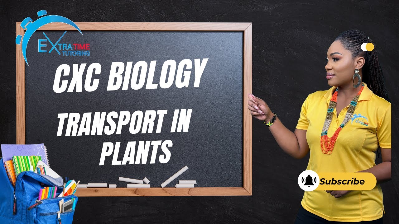 CSEC/CXC Biology Transport in plants