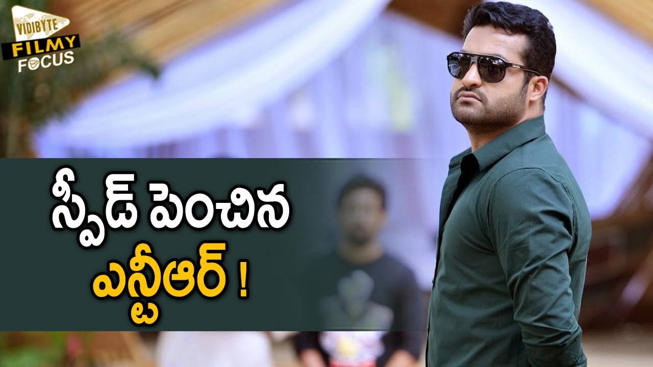 NTR in Full Swing with Nannaku Prematho Movie - Filmy Focus