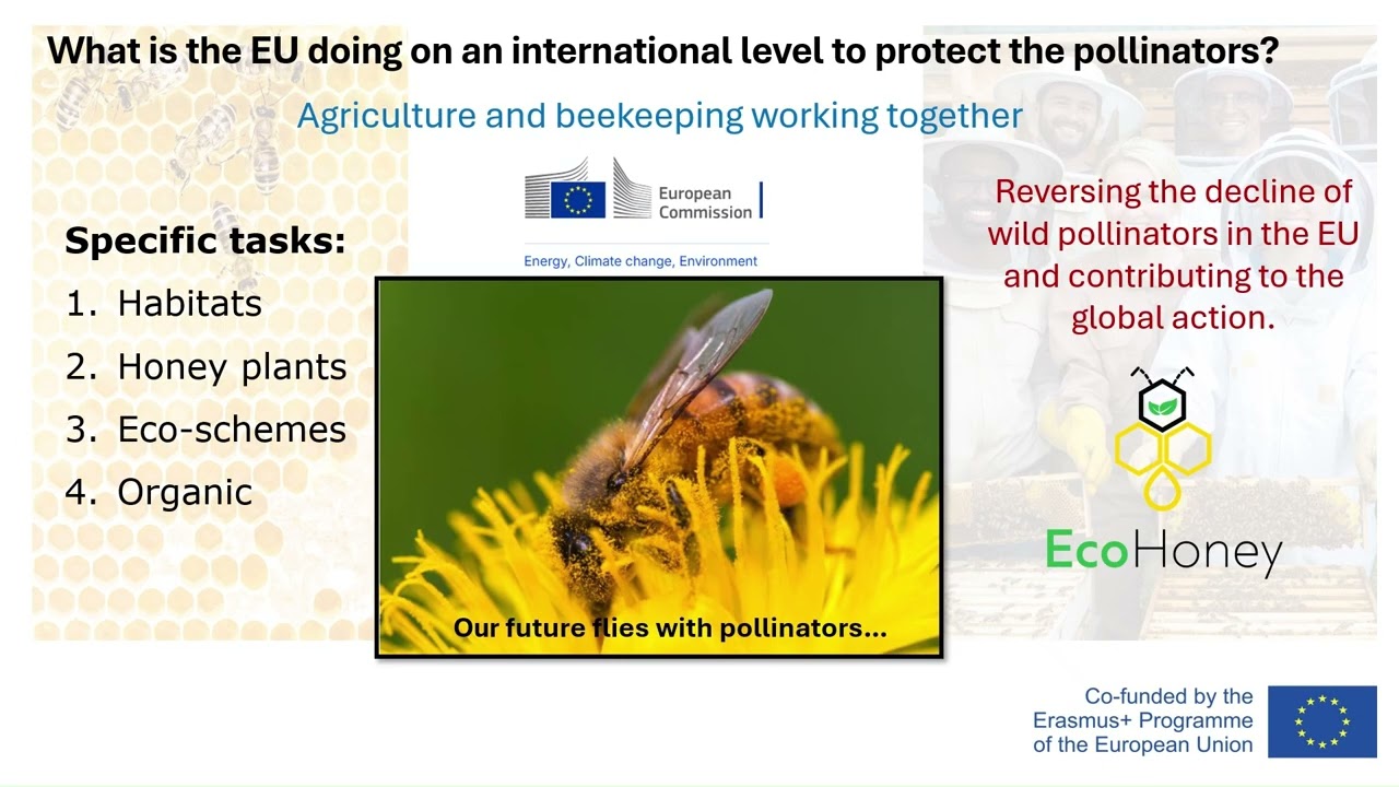H3-3.3-What is the EU doing on an international level to protect the polinators-TUTO