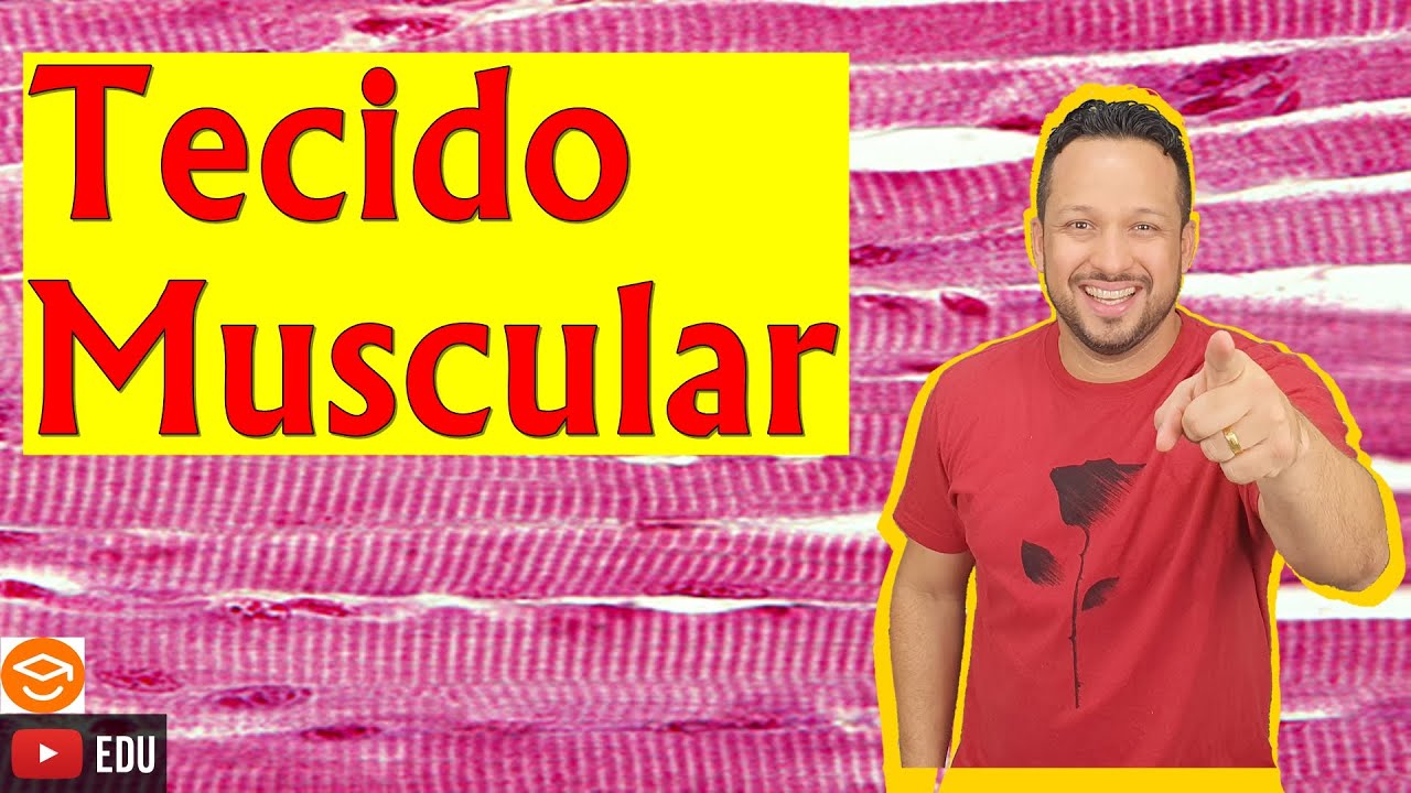 Tecido Muscular - Características e Funções - Histologia Animal