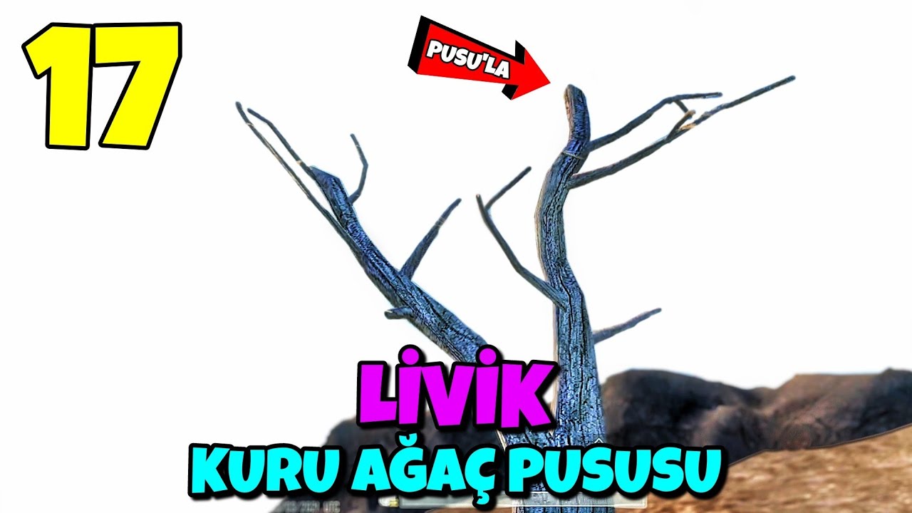 PUBG MOBILE KURU AĞAÇ (Livik rank kasma taktikleri ve pusu yerleri)