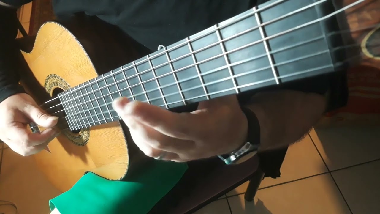 39 - Bouree - Leopold Mozart (1719 - 1787) - Fifty Easy Classical Guitar Solos