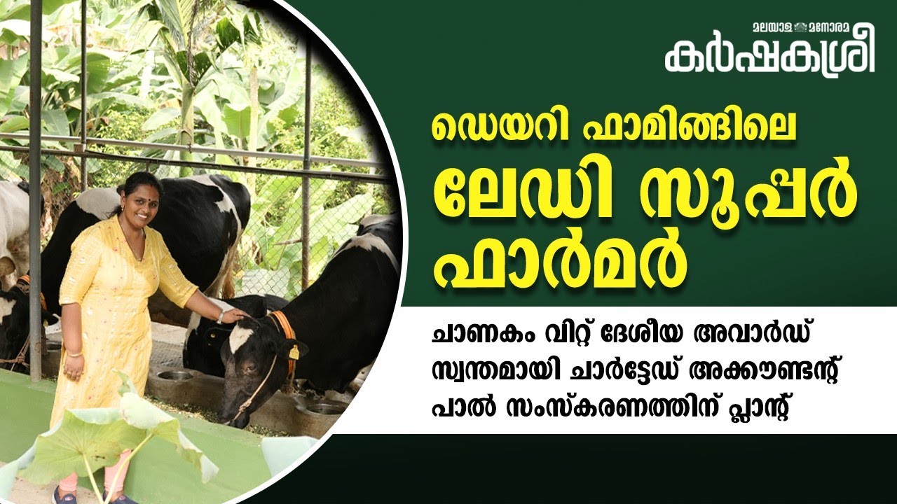 ചാണകം വിറ്റ് ദേശീയ അവാർഡ്; സ്വന്തമായി ചാർട്ടേഡ് അക്കൗണ്ടന്റ്; സംസ്കരണത്തിന് പ്ലാന്റ്: ‘സൂപ്പർ ഫാർമർ’