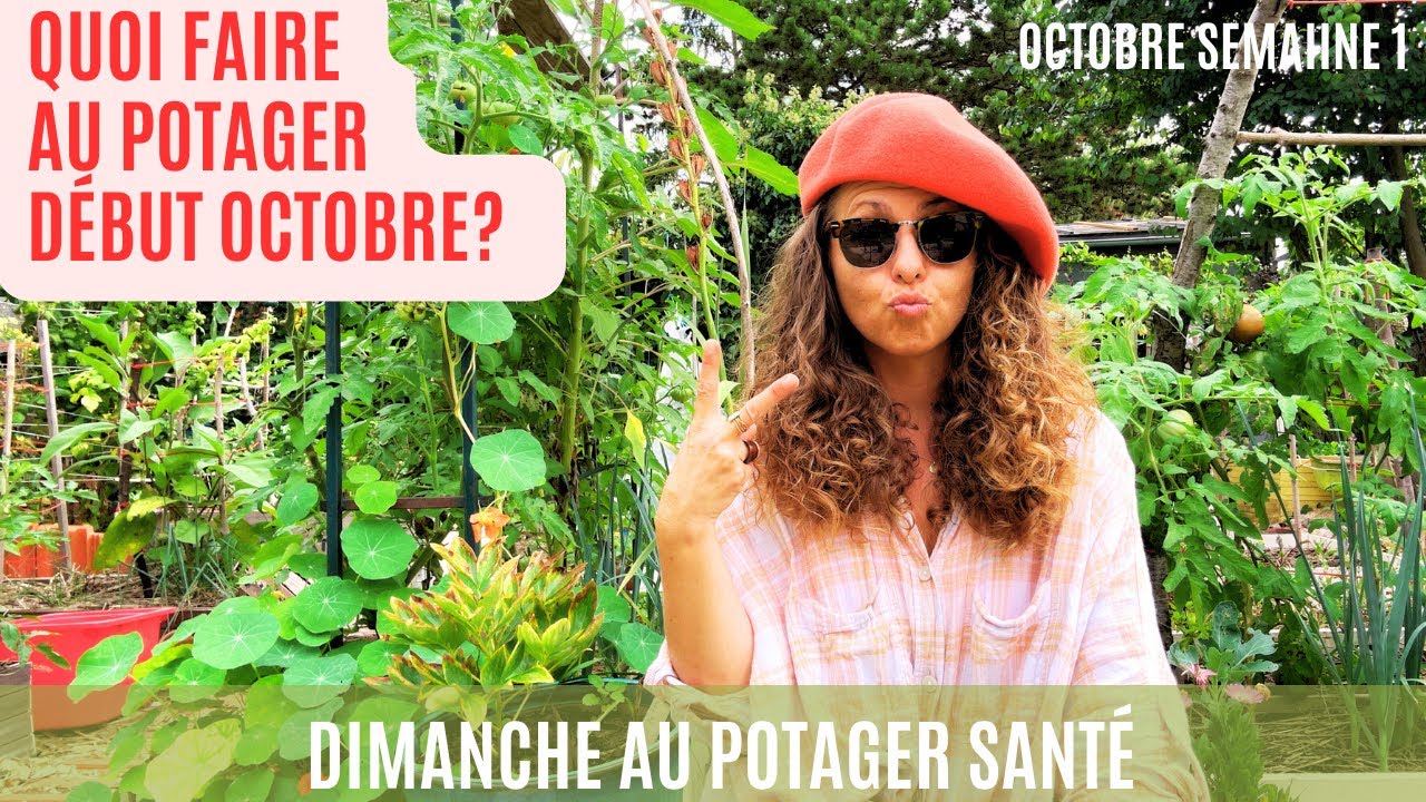 Quoi et comment faire au Potager Début octobre #potager #octobre #jardinage #jardin #garden #bio