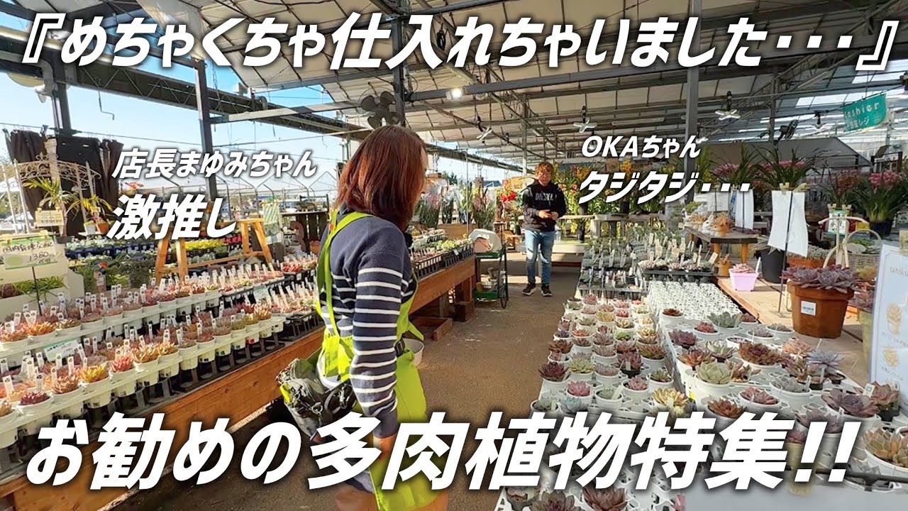 年で一番