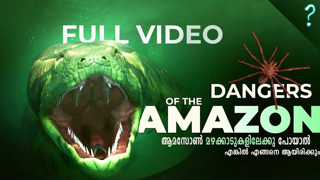 (full Video ) ആമസോൺ മഴക്കാടുകളിലേക്കു പോയാൽ | എങ്കിൽ എങ്ങനെ | Malayalam | Enkil Engane |