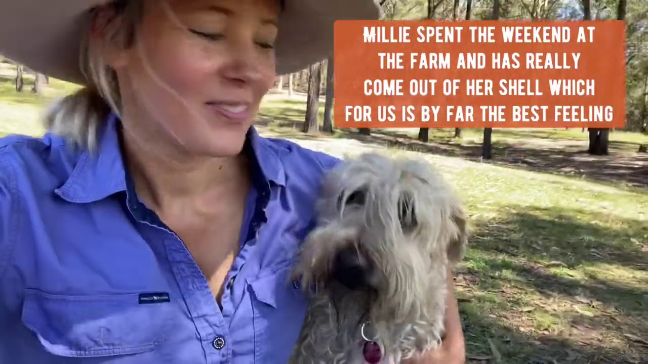 Monday at the farm