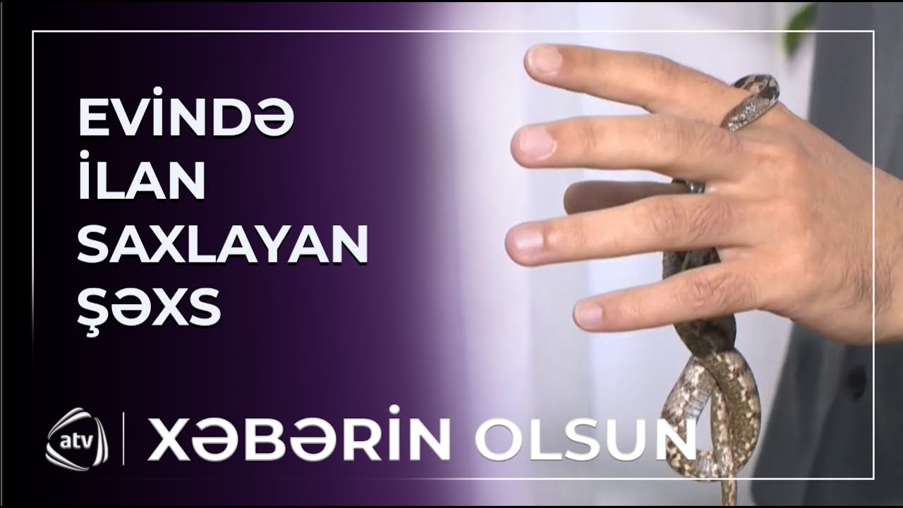 Evində ilan saxlayan Sumqayıt sakini / Xəbərin olsun