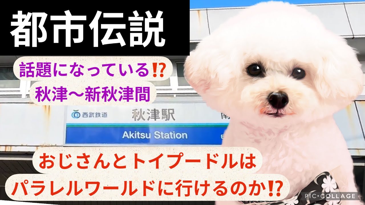 【都市伝説】秋津〜新秋津を歩いてパラレルワールドに行けるのか！？（ハウル散歩#32）