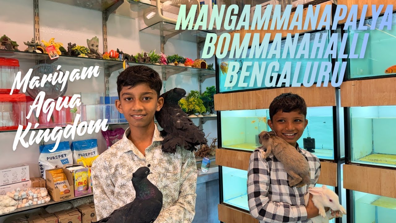 NEW VLOG OF MARIYAM AQUA KINGDOM PET SHOP BENGALURU .