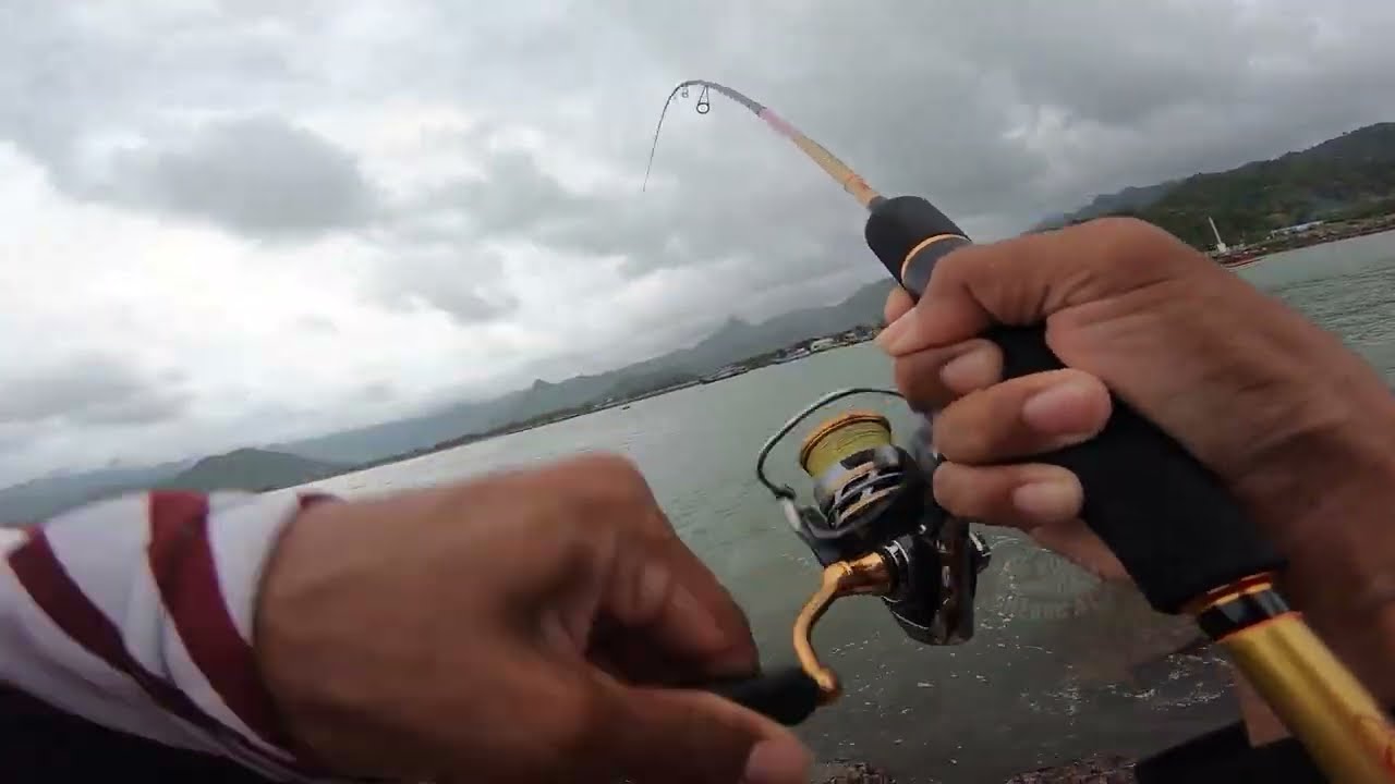 CAST JIG DI SARANG IKAN BABY GT | ultralight fishing