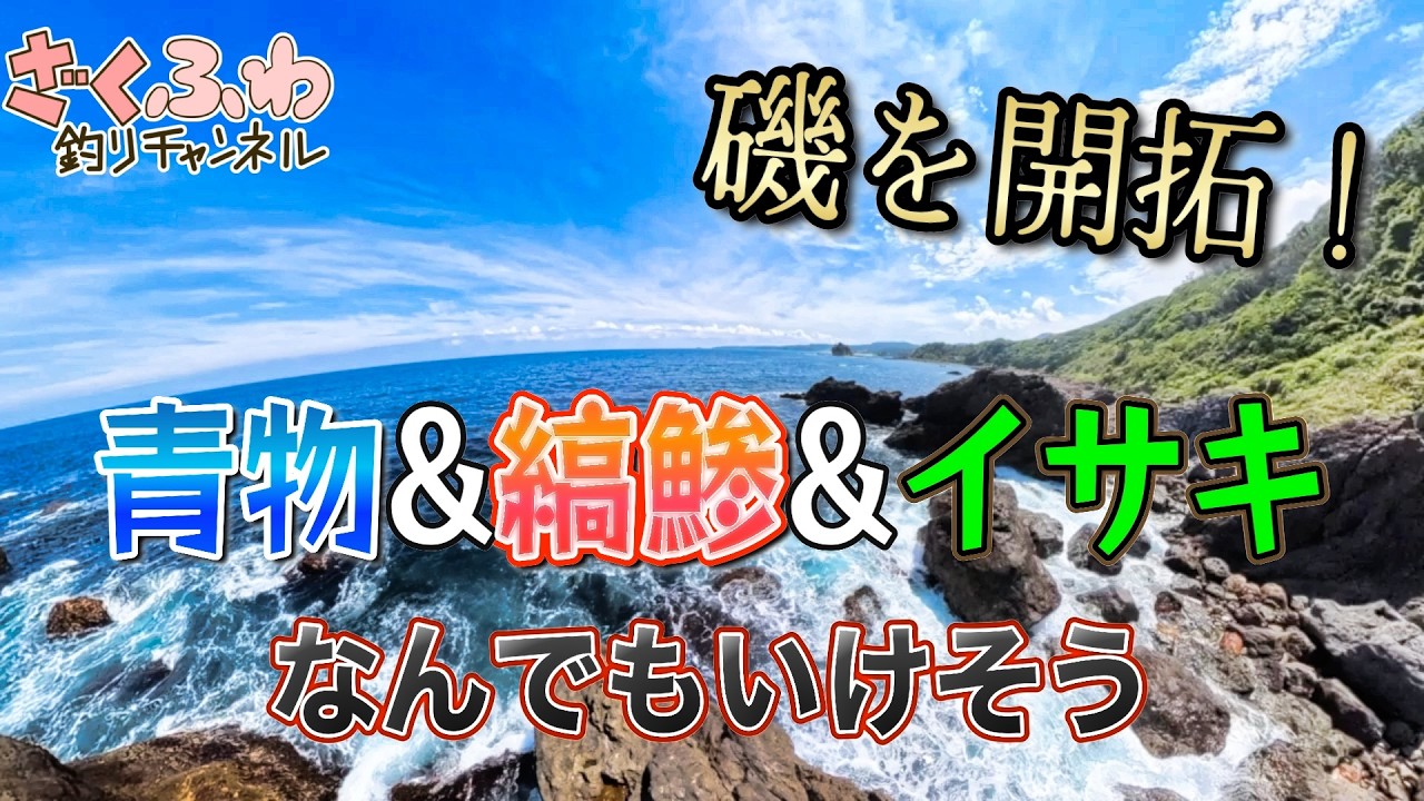 気になっていた磯を開拓！そこは魚影が濃い1級磯だった！青物調査&カゴ釣りやってみた！【釣場調査】【ショアジギ】【南伊豆】