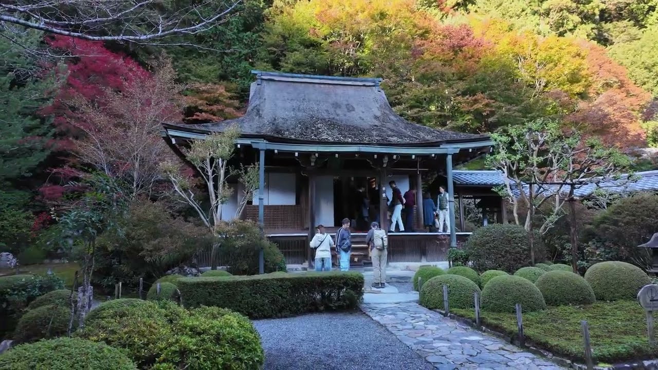 Jakko-in Temple - Japanese Garden Fall color 🍁- 寂光院 庭園の風景 紅葉