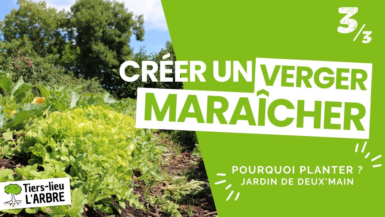 Créer un VERGER MARAÎCHER - Jardin de deux'main 3/3