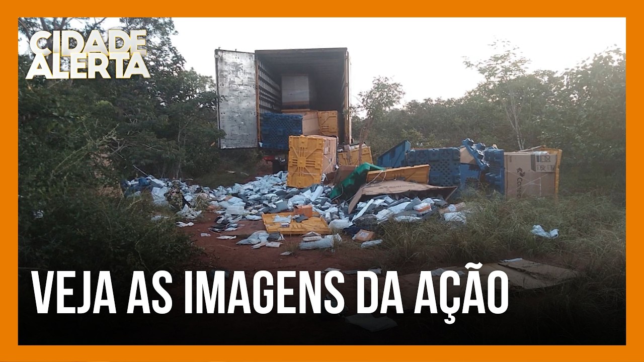 Quadrilha roubava cargas nas estradas mineiras