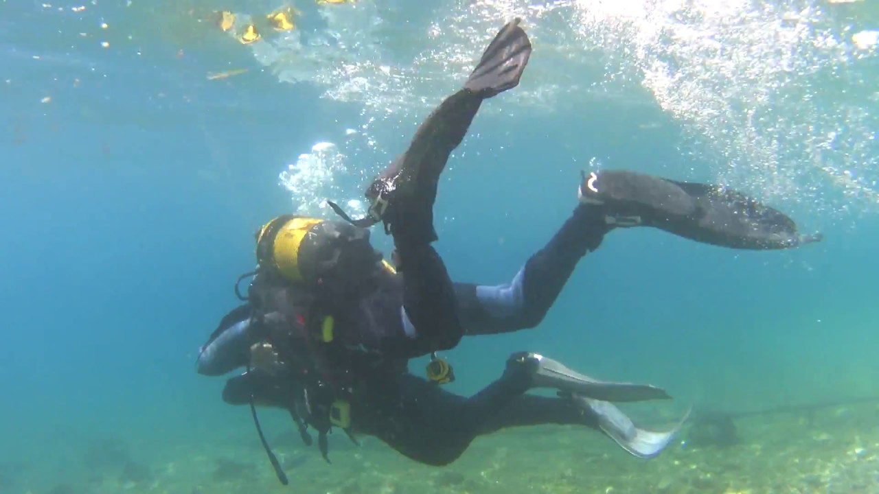 Bautizo Buceo Amalia