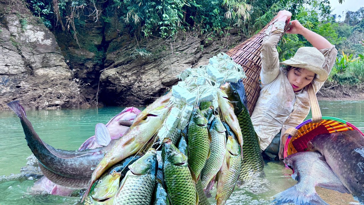 Traditional fishing skills - Single mother catches giant fish using bamboo trap