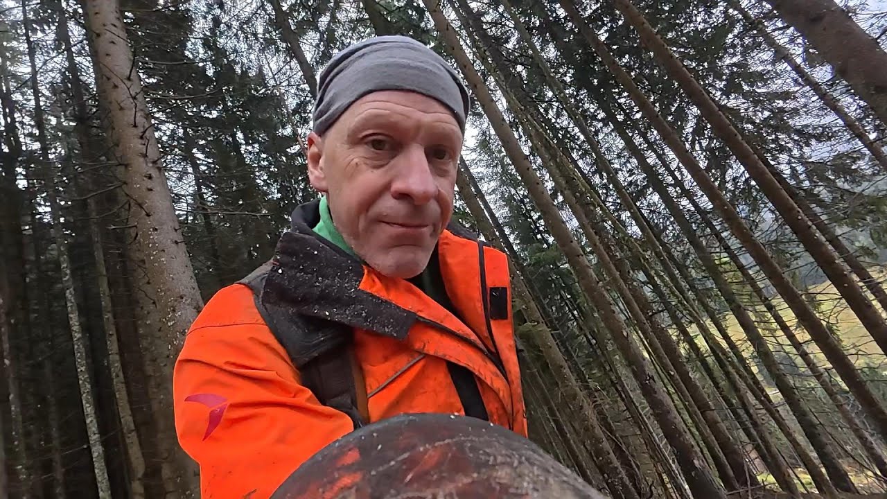 Fällkei Eder Titan 80 Pro im Einsatz