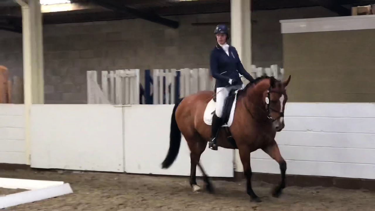 Hope Prelim 13, 14th July 2019 69%
