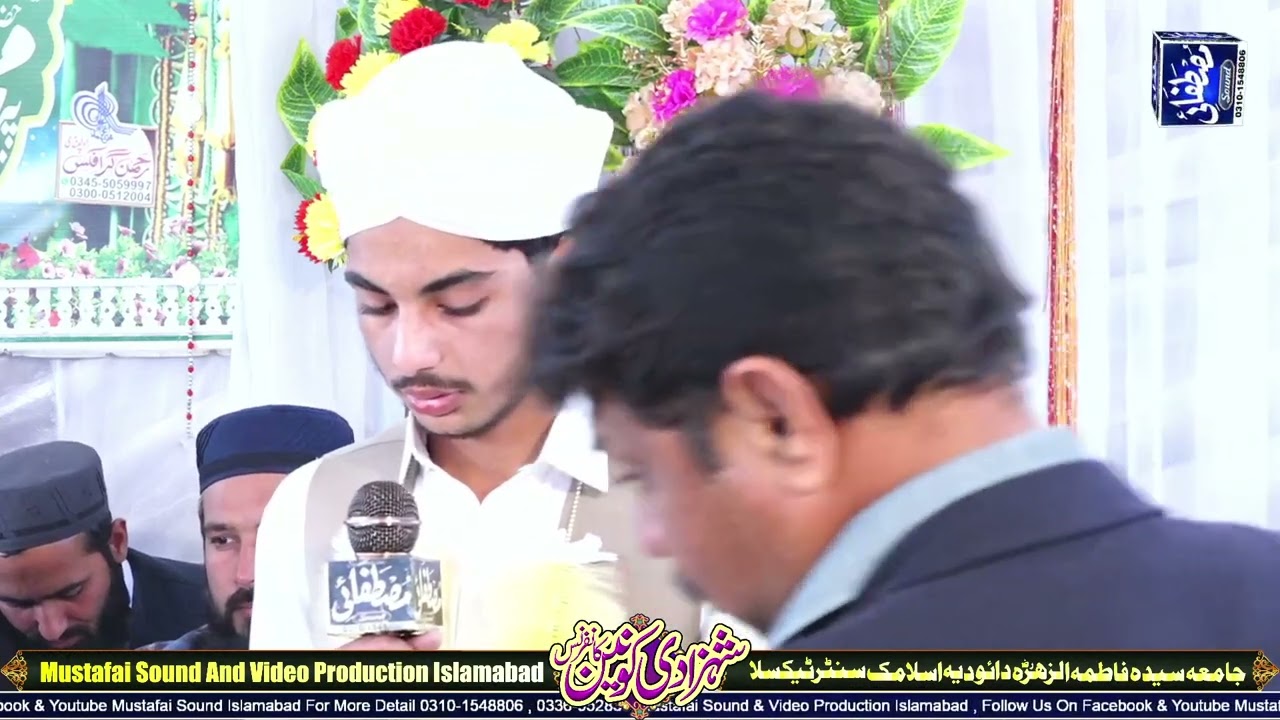 حافظ حامد علی بٹ 