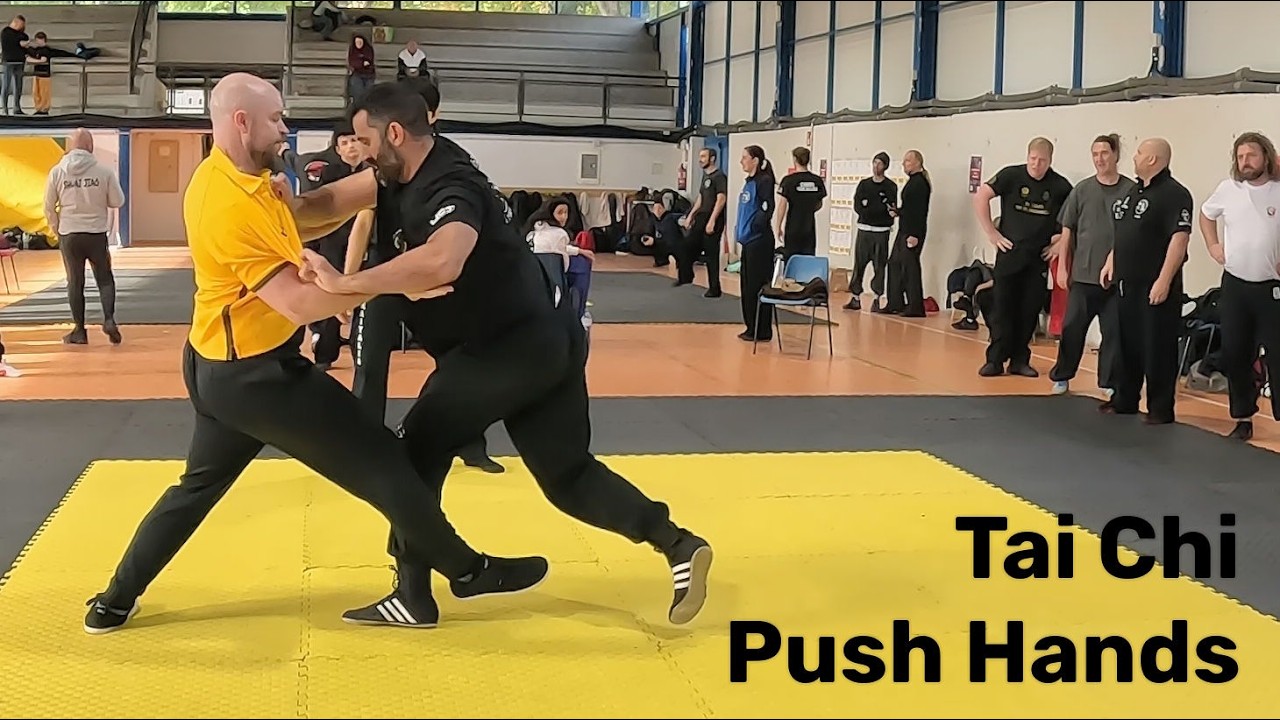 King of the Spanish Mountains: Men's Heavyweight Push Hands