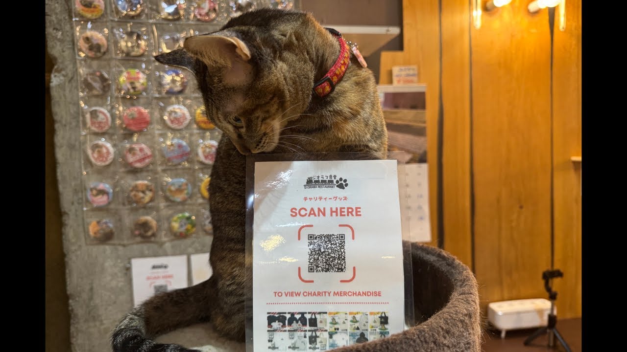 This is the QR code for our charity goods. Please take a look!