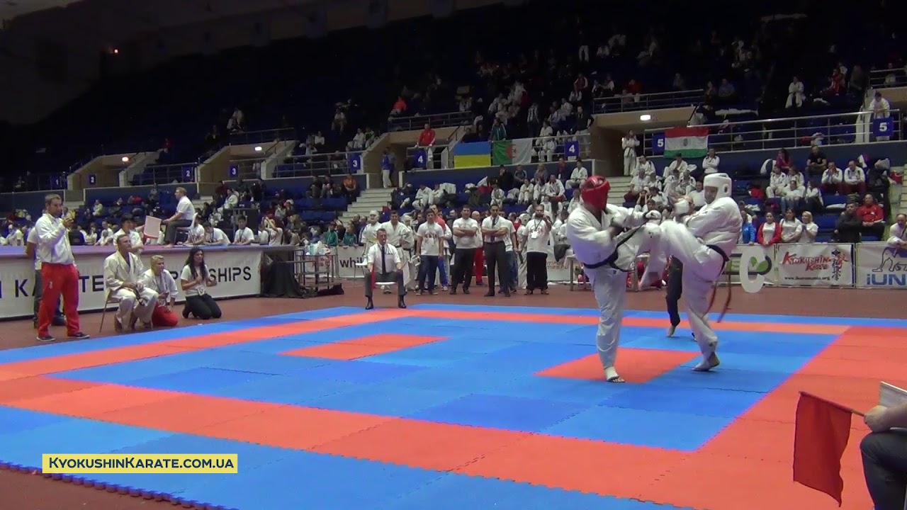 IKO Open EC 2017 - Final +40yr +85 Wojciech Zmija (Poland, aka) - Romeo Beznea (Romania)