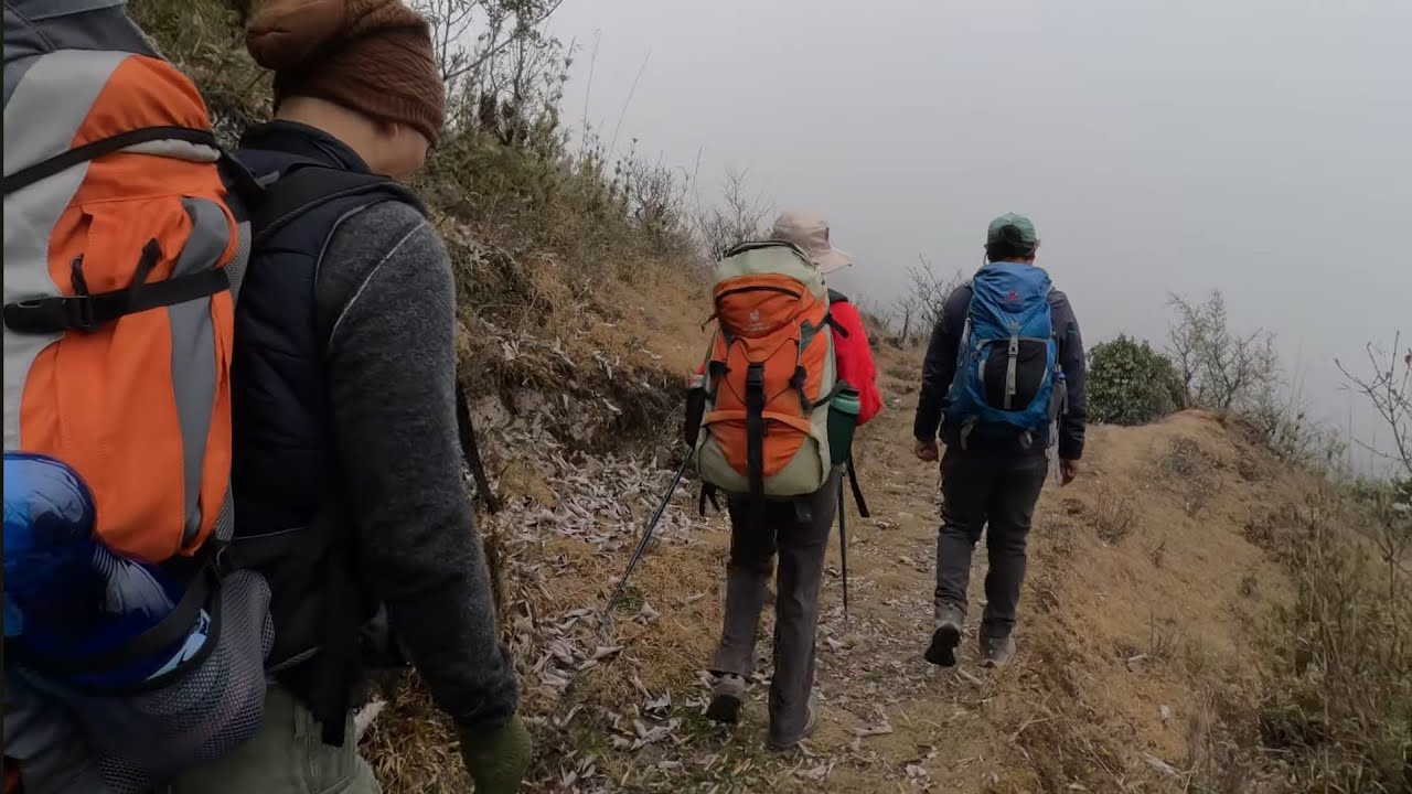 Sandakphu Phalut Trek |  March 2025 | Singalila National Park| Chitray to Gairibas |