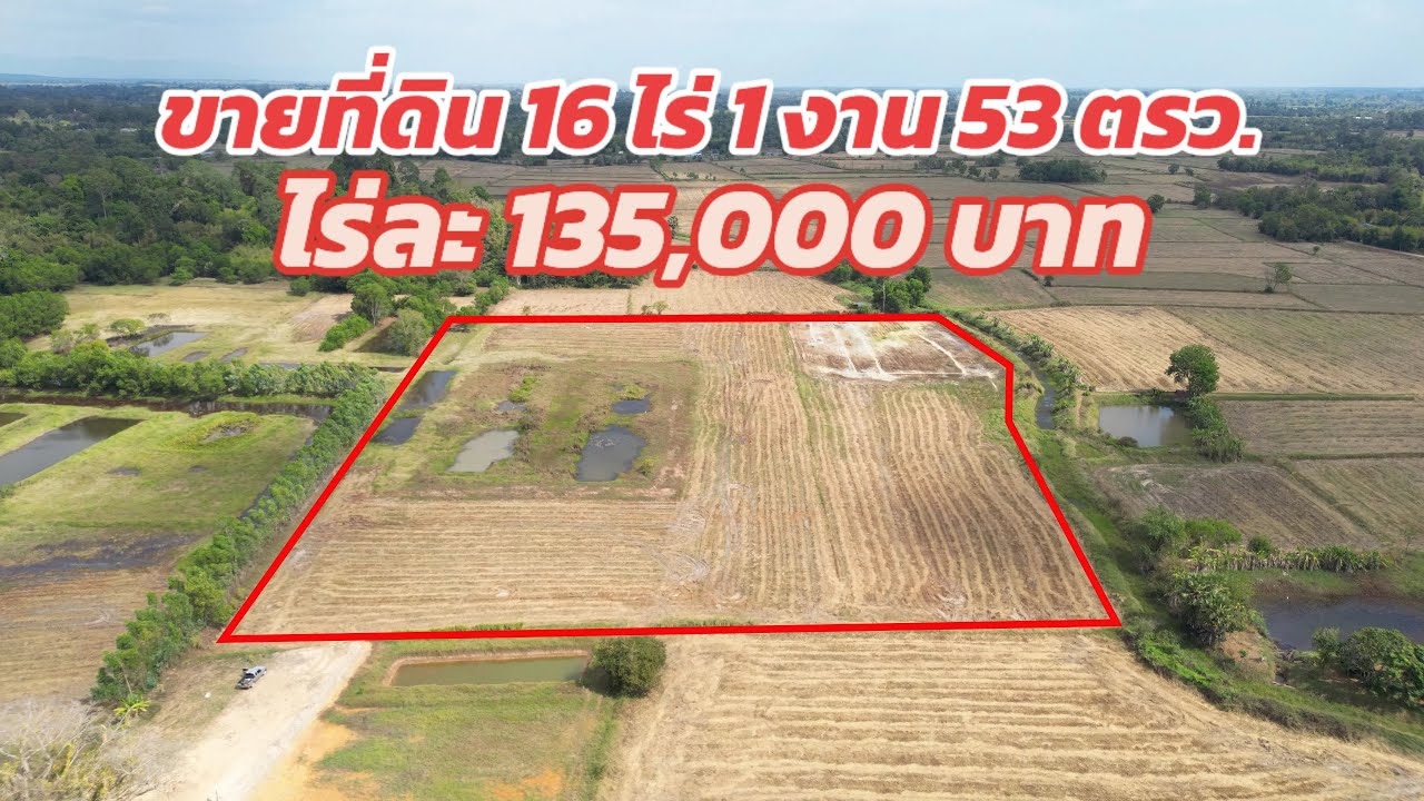 ขายที่ดินไร่ละ 135,000 บาท พื้นที่ 16 ไร่ 1 งาน 53 ตรว. โฉนดพร้อมโอน ปราจีนบุรี