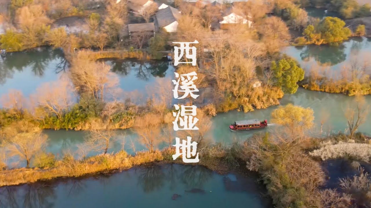 如何轻松打卡杭州西溪湿地｜电瓶船2小时快捷游览体验