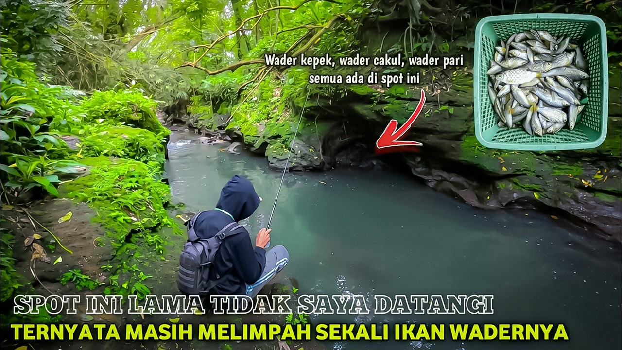 🍃 LAMA TAK SAYA DATANGI TERNYATA SPOT INI MASIH MELIMPAH IKAN WADERNYA 💥 Spot waderan JOGJA Utara 💚