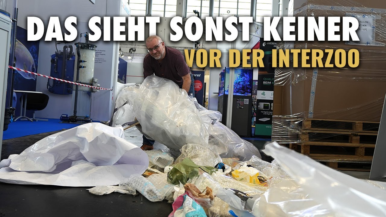 Claude beim Aufbau der Interzoo Messe 2024