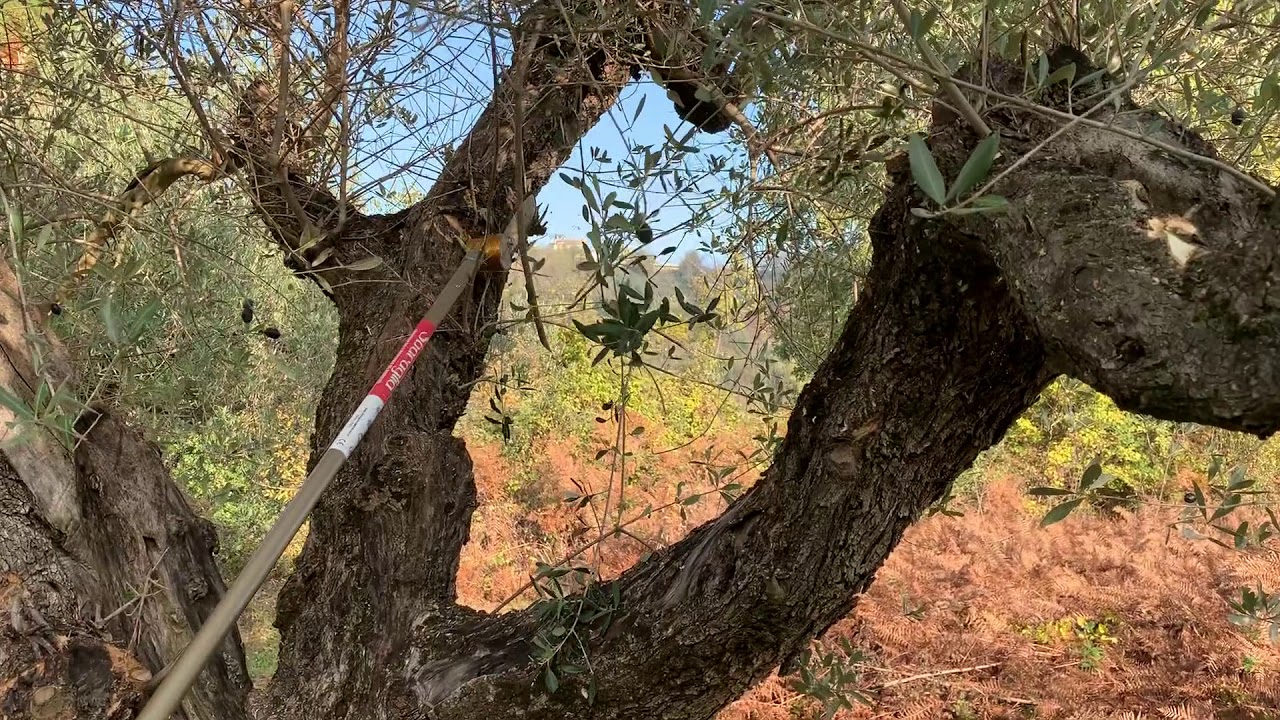 Sbaraglia seghetto pneumatico TURBO 7 ALETTE