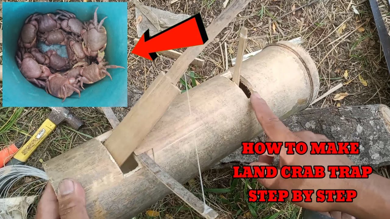 Paano gumawa ng trap para sa land crab(kagang/dakdakumo)How to make land crab trap step by step