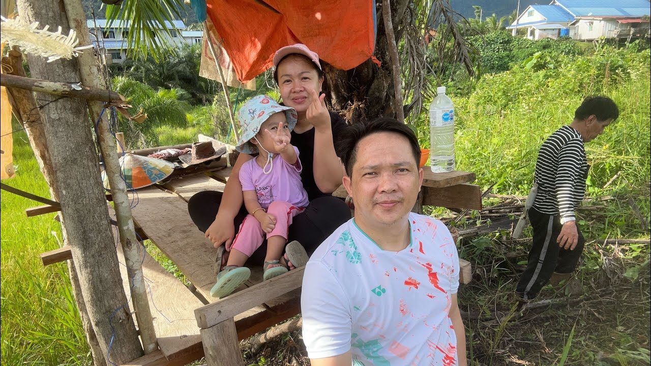 Hari kedua cuti tahun baru di kampung, pergi lihat ladang padi bapa..
